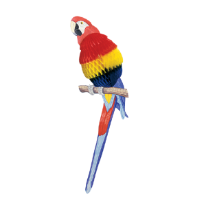 Parrot 3183