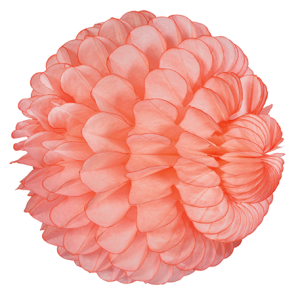 Cloud ball 4715 4717 4716 4718