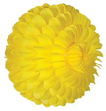 Cloud ball 4715 4717 4716 4718