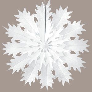 Snowflake 5970 5970S