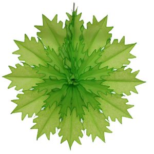 Snowflake 5970 5970S