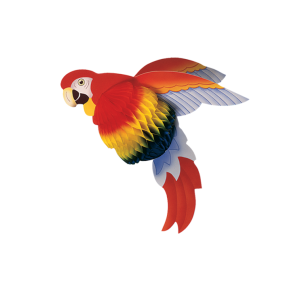 Parrot 8063